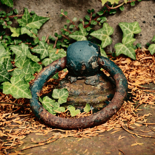 Friedwald, Bestattung Fach OHG